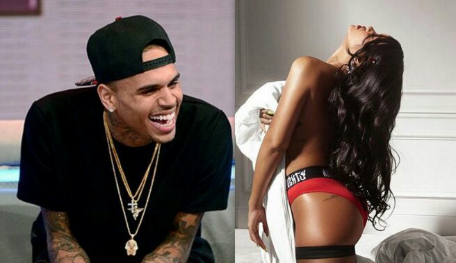 Chris Brown Gets Slammed After Rihanna Posted Savage X Fenty