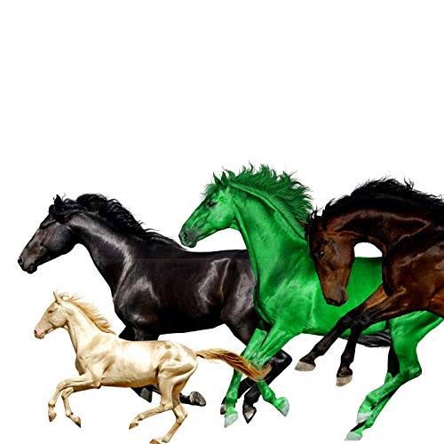 Lil Nas X horses