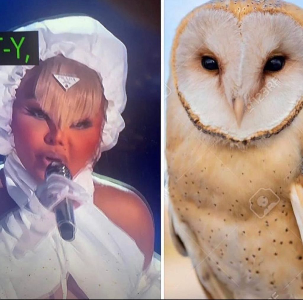 Lil Kim looks Like Owl said 50 Cent 