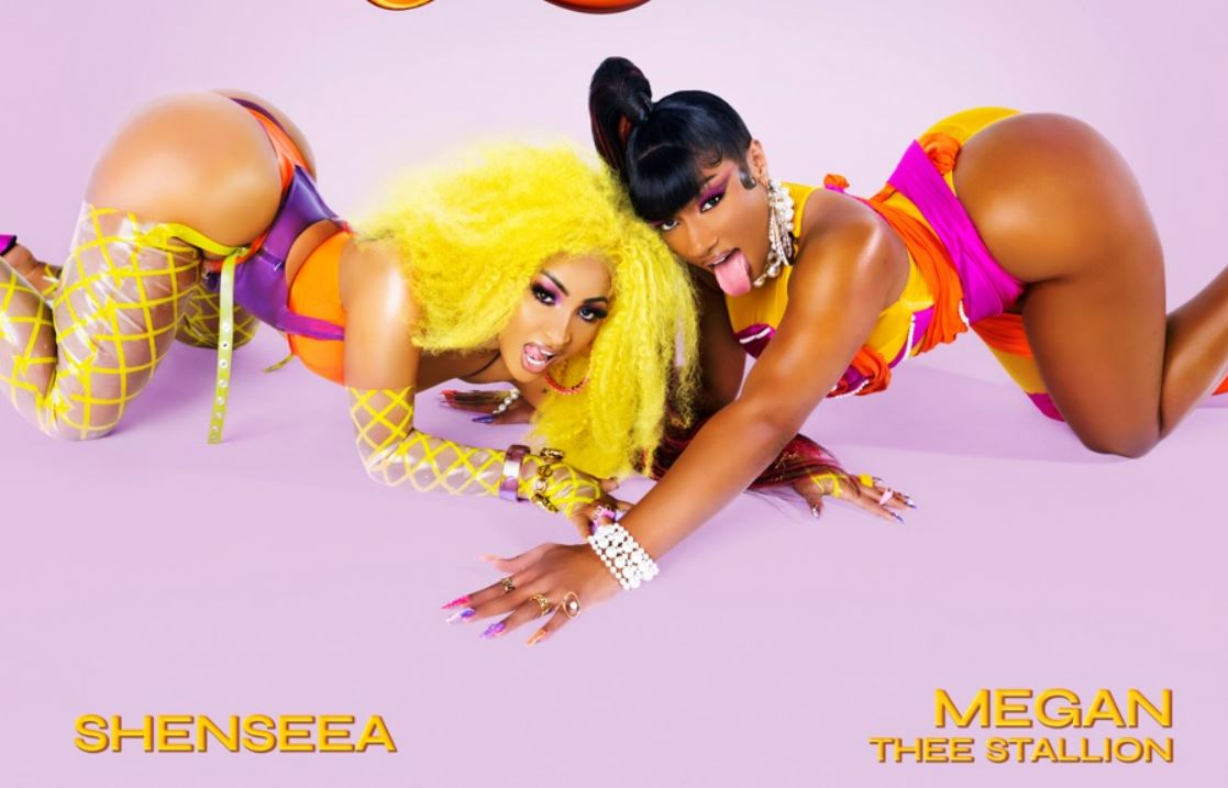 Megan Thee Stallion & Shenseea Get Into Lick Collab. with Curve Style
