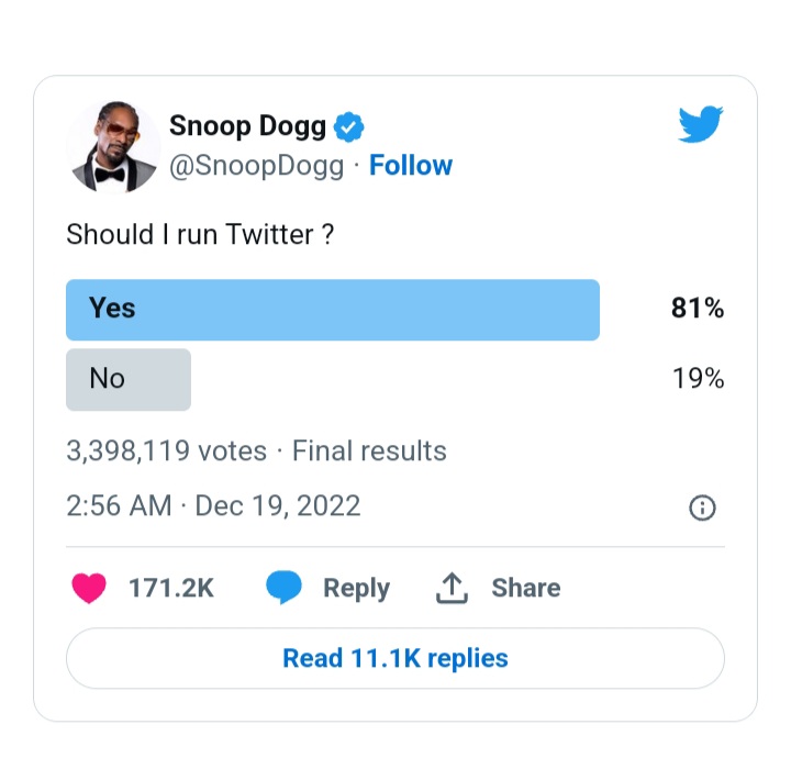 Snoop Dogg poll to run twitter as CEO