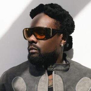 Wale when i get home
